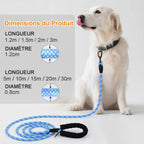 Laisse pour chien - Longe de dressage pour chien avec poignée rembourrée