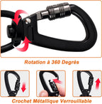 Laisse pour chien - Longe de dressage pour chien avec poignée rembourrée
