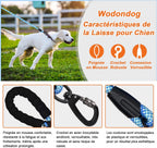 Laisse pour chien - Longe de dressage pour chien avec poignée rembourrée