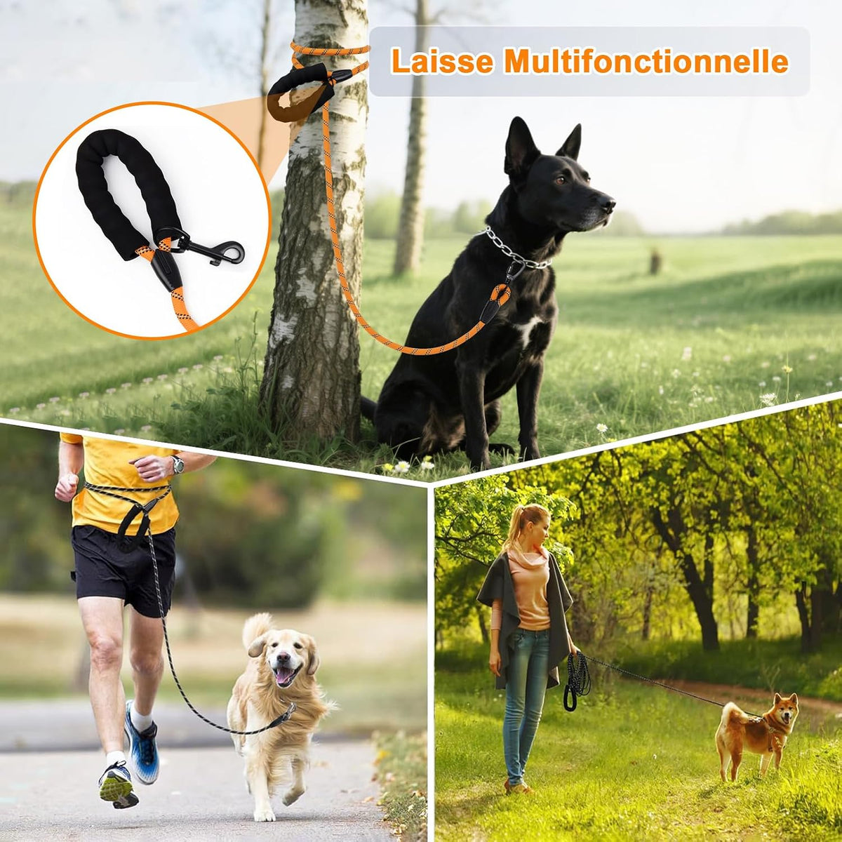 Laisse pour chien - Longe de dressage pour chien avec poignée rembourrée