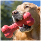 KONG Extreme Goodie Bone Rouge – Os à Mâcher Résistant pour Chien