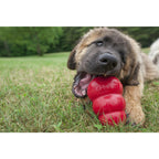 KONG Classic – Jouet à Mâcher et à Garnir pour Chien