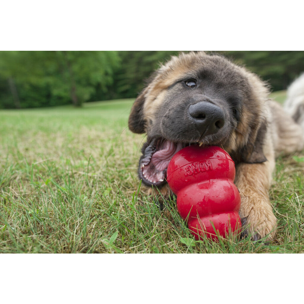 KONG Classic – Jouet à Mâcher et à Garnir pour Chien