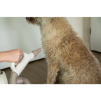 Sèche-poils pour Chien - Pulseur pour Chien Professionnel Groomers Secret